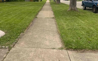 Photo of Claudia E.'s yard after getting lawn care in Bellingham, WA