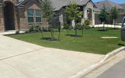 Photo of Debi B.'s yard after getting lawn care in Fremont, CA
