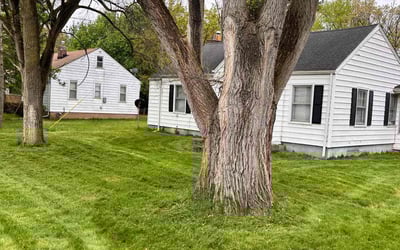 Photo of Brandon E.'s yard after getting lawn care in Southfield, MI