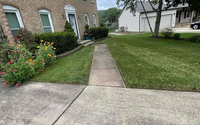 Photo of Taeko B.'s yard after getting lawn care in Herndon, VA