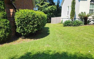Photo of Lily R.'s yard after getting lawn care in Lugoff, SC