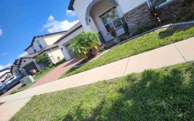 Photo of Logan M.'s yard after getting lawn care in Four Corners, FL
