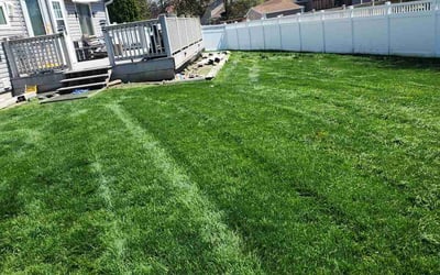 Photo of Latoya T.'s yard after getting lawn care in La Crosse, WI