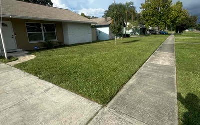 Photo of Ben R.'s yard after getting lawn care in Forest Hills, NY