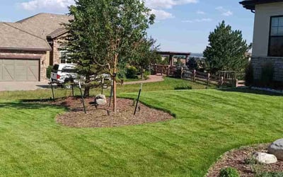 Photo of Pam F.'s yard after getting lawn care in Parker, CO