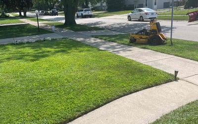 Photo of David B.'s yard after getting lawn care in Orland Park, IL