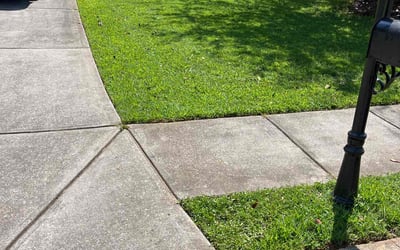 Photo of Jeanine W.'s yard after getting lawn care in Kennesaw, GA