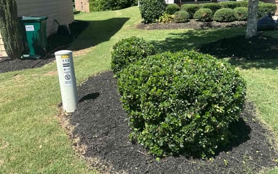 Photo of Jennifer T.'s yard after getting lawn care in Union, MO