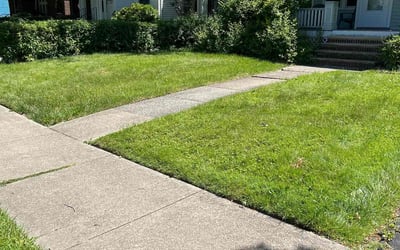 Photo of David A.'s yard after getting lawn care in Cleveland Heights, OH