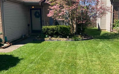 Photo of Patricia M.'s yard after getting lawn care in Lexington, KY