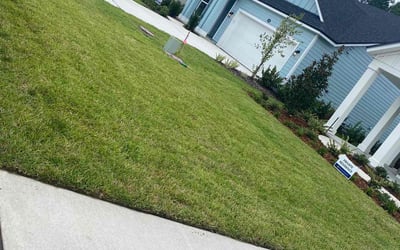 Photo of David C.'s yard after getting lawn care in Keystone Heights, FL