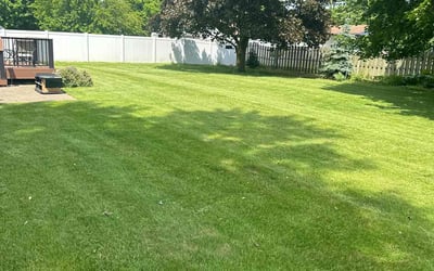 Photo of Joseph D.'s yard after getting lawn care in Grand Rapids, MI