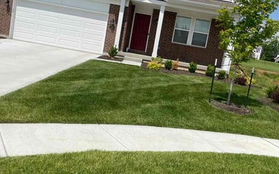 Photo of Nicole C.'s yard after getting lawn care in Wentzville, MO