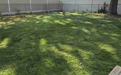Photo of Kris S.'s yard after getting lawn care in Howell, NJ