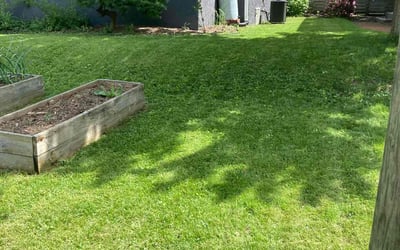 Photo of Michael M.'s yard after getting lawn care in Camby, IN