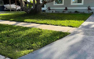 Photo of Tim R.'s yard after getting lawn care in Spring, TX