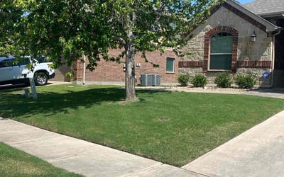Photo of Mathew W.'s yard after getting lawn care in Arroyo Grande, CA