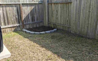 Photo of Fallon H.'s yard after getting lawn care in Saint Augustine, FL
