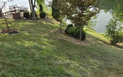 Photo of Olivia N.'s yard after getting lawn care in Fairview Heights, IL