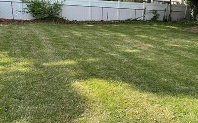 Photo of Lorri D.'s yard after getting lawn care in Glassboro, NJ