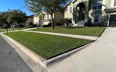 Photo of Yong Z.'s yard after getting lawn care in Coolidge, AZ