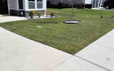 Photo of Mary K.'s yard after getting lawn care in Blythewood, SC