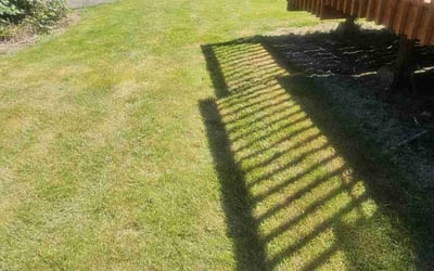 Photo of Tom M.'s yard after getting lawn care in Aloha, OR