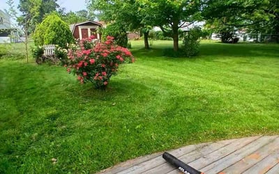 Photo of Alecia L.'s yard after getting lawn care in Johnstown, PA