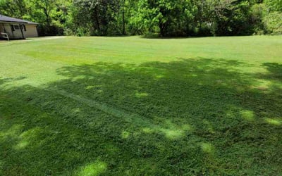 Photo of Marcus E.'s yard after getting lawn care in Newport, KY
