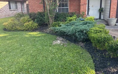 Photo of Nancy K.'s yard after getting lawn care in Vallejo, CA