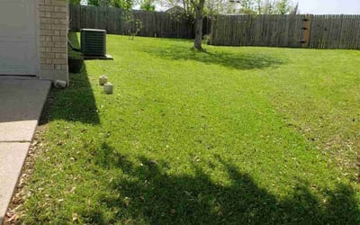 Photo of Kristi S.'s yard after getting lawn care in Cincinnati, OH