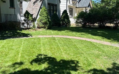 Photo of Marsha M.'s yard after getting lawn care in Longmont, CO