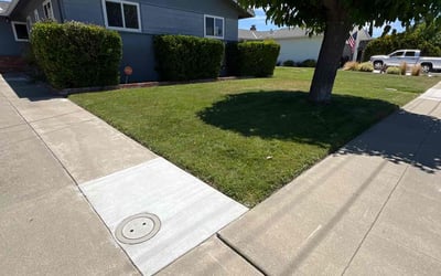 Photo of Cindy W.'s yard after getting lawn care in San Pablo, CA