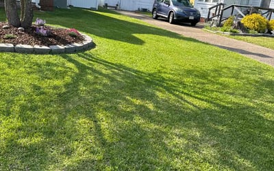 Photo of Mel F.'s yard after getting lawn care in Huntersville, NC