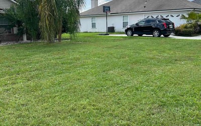 Photo of Dinnah D.'s yard after getting lawn care in Great Neck, NY