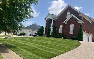 Photo of Stephan K.'s yard after getting lawn care in Mentor, OH