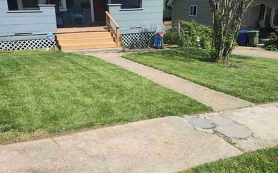Photo of Julie P.'s yard after getting lawn care in Crofton, MD