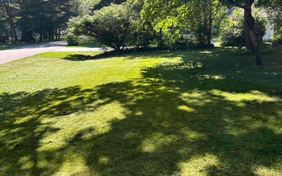Photo of Bobbi K.'s yard after getting lawn care in Sylvania, OH