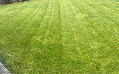Photo of Nancy M.'s yard after getting lawn care in Oregon City, OR