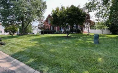 Photo of Oluwatomini O.'s yard after getting lawn care in Cottage Grove, MN