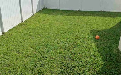 Photo of STEVEN O.'s yard after getting lawn care in Fort Pierce, FL