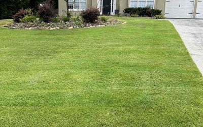 Photo of Carol V.'s yard after getting lawn care in Kennesaw, GA