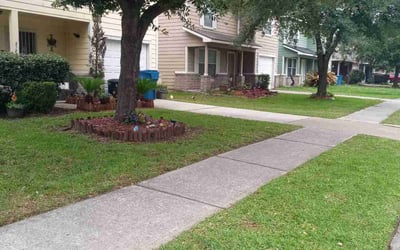 Photo of Haley C.'s yard after getting lawn care in McAllen, TX