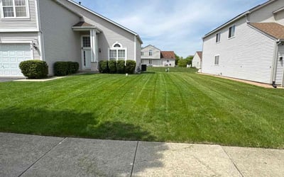 Photo of Laqunda W.'s yard after getting lawn care in Round Lake Beach, IL