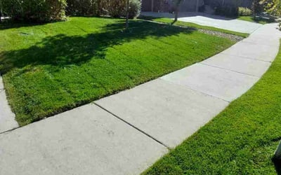 Photo of Heather R.'s yard after getting lawn care in Greeley, CO