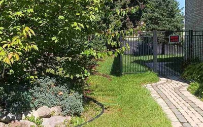 Photo of chet B.'s yard after getting lawn care in Romulus, MI