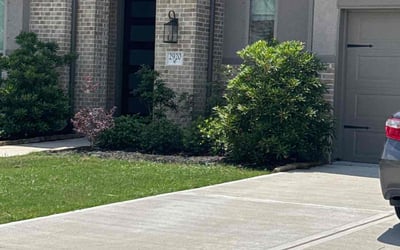 Photo of Kareem C.'s yard after getting lawn care in Providence, RI