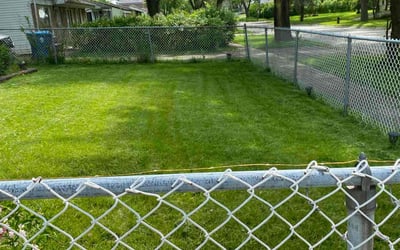 Photo of Debbie W.'s yard after getting lawn care in Boulder Hill, IL