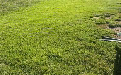Photo of Darrell P.'s yard after getting lawn care in Bowie, MD