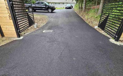 Photo of Joey M.'s yard after getting lawn care in Kenmore, WA